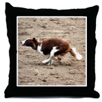 border collie gifts
