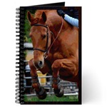 horse notebooks or journals