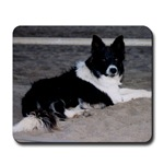 horse and border collie mousepads
